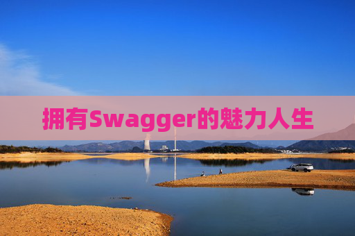 拥有Swagger的魅力人生
