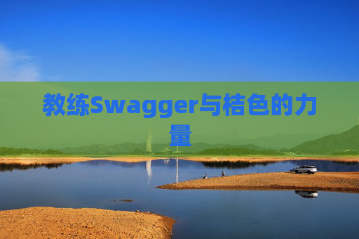 教练Swagger与桔色的力量