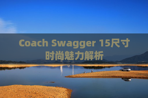 Coach Swagger 15尺寸时尚魅力解析